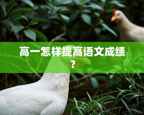 高一怎样提高语文成绩？