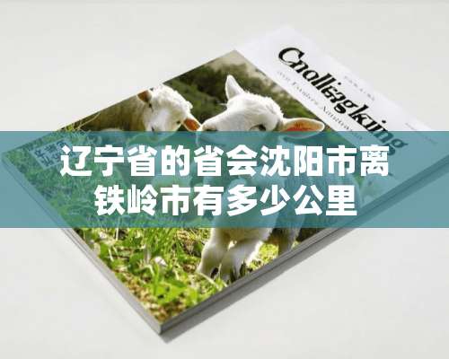 辽宁省的省会沈阳市离铁岭市有多少公里