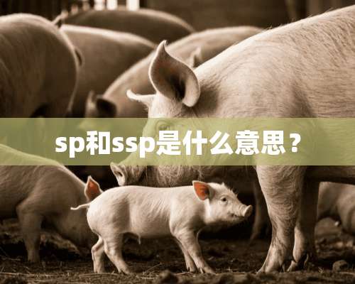 sp和ssp是什么意思？