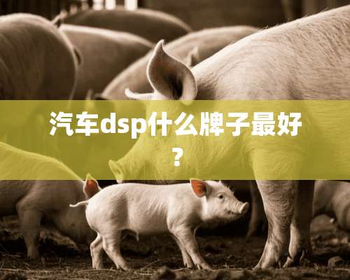 汽车dsp什么牌子最好？