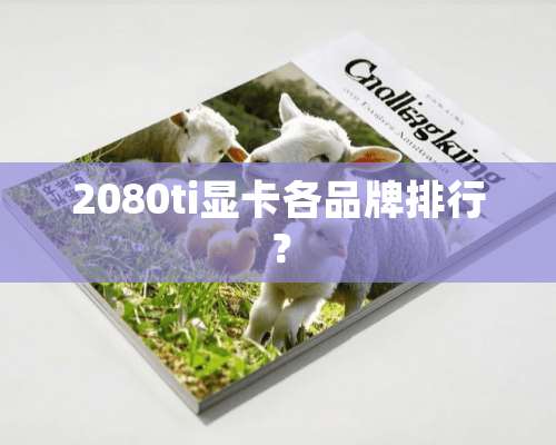 2080ti显卡各品牌排行？