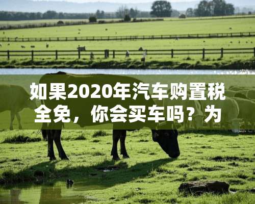 如果2020年汽车购置税全免，你会买车吗？为什么？