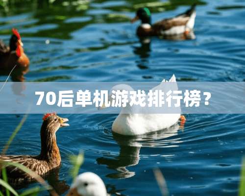 70后单机游戏排行榜？