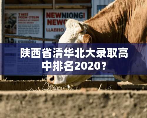 陕西省清华北大录取高中排名2020？