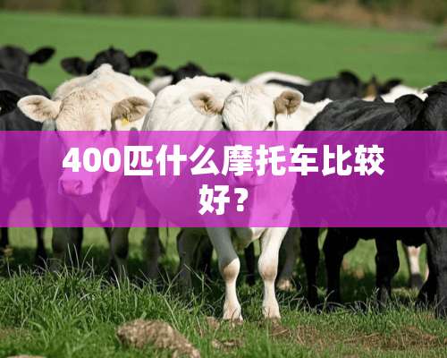 400匹什么摩托车比较好？