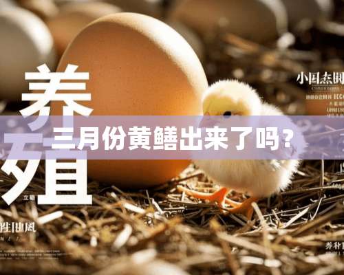 三月份黄鳝出来了吗？