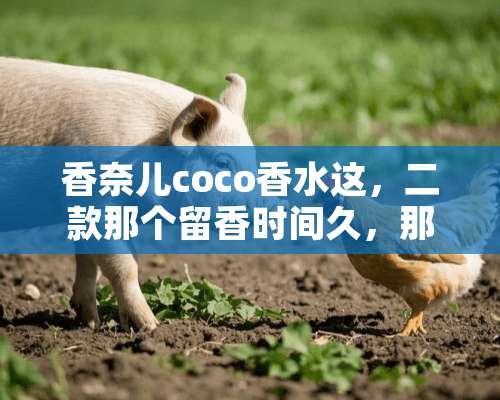 香奈儿coco香水这，二款那个留香时间久，那个味道好闻点。求解？