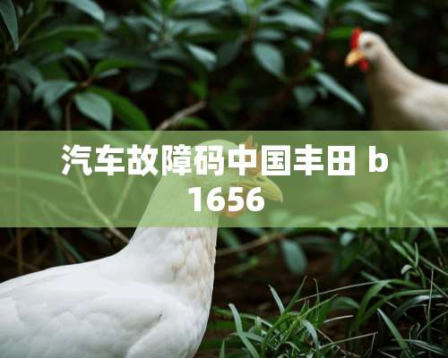 汽车故障码中国丰田 b1656