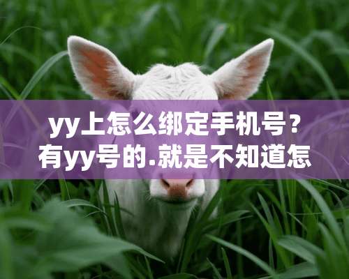 yy上怎么绑定手机号？有yy号的.就是不知道怎么绑定？