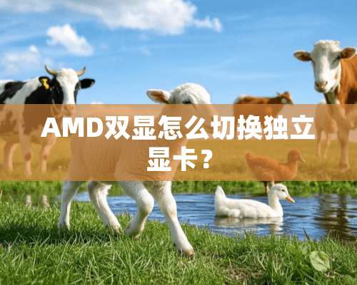 AMD双显怎么切换**显卡？