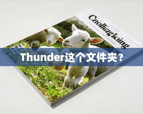 Thunder这个文件夹？