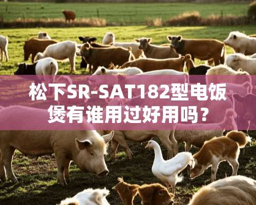 松下SR-SAT182型电饭煲有谁用过好用吗？