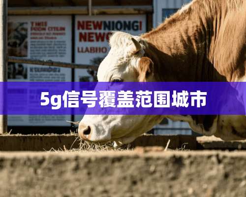 5g信号覆盖范围城市