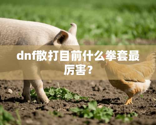 dnf散打目前什么拳套最厉害？