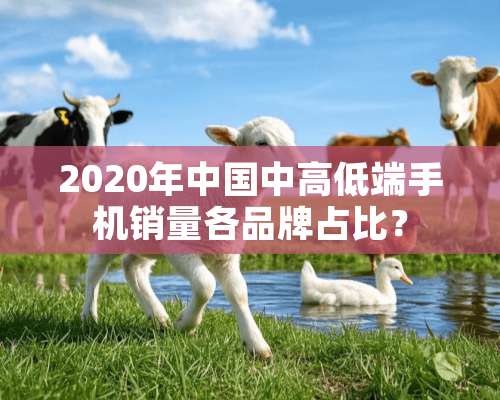 2020年中国中高低端手机销量各品牌占比？