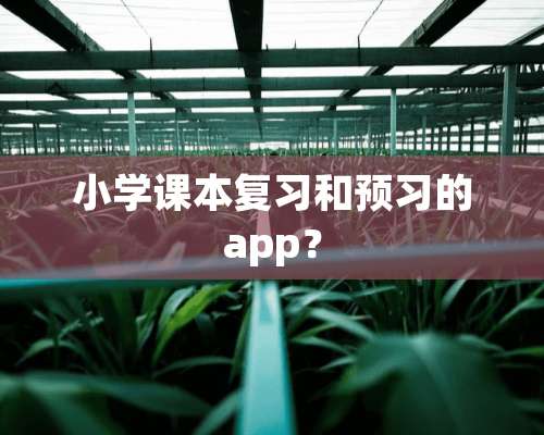 小学课本复习和预习的app？