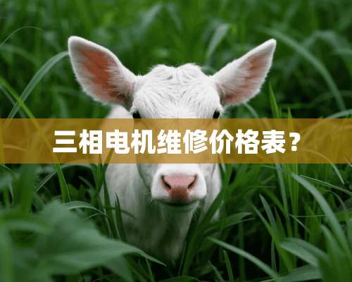 三相电机维修价格表？