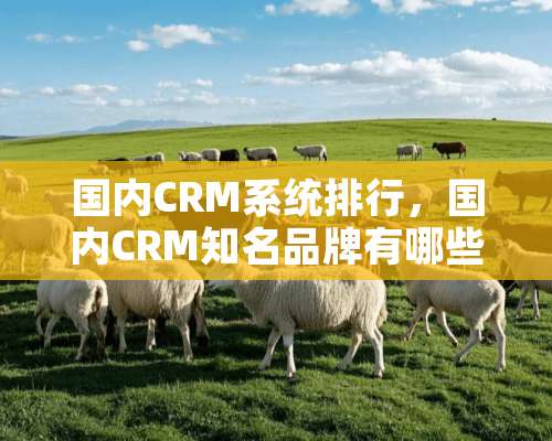 国内CRM系统排行，国内CRM知名品牌有哪些？