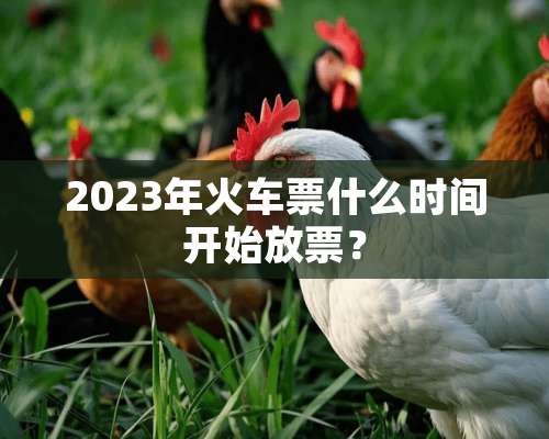 2023年***什么时间开始放票？