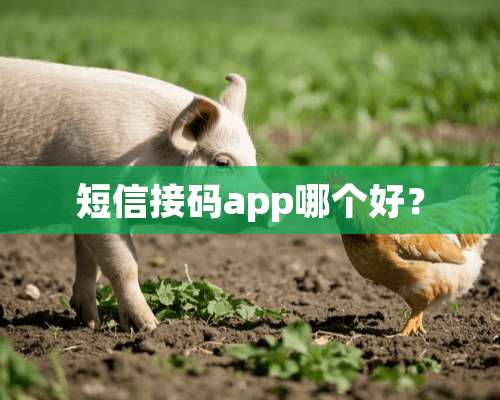 短信接码app哪个好？