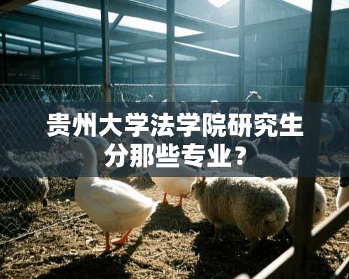 贵州大学法学院研究生分那些专业？