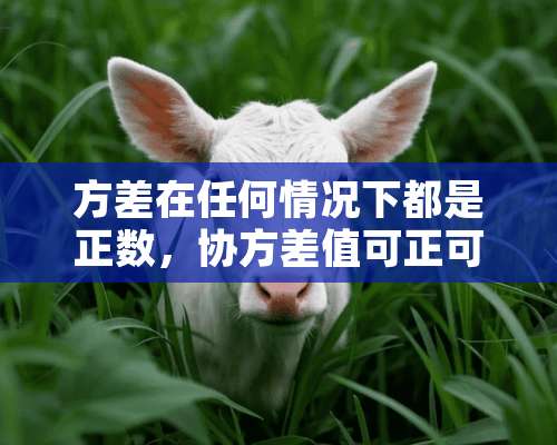 方差在任何情况下都是正数，协方差值可正可负对吗？