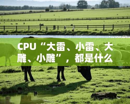 CPU“大雷、小雷、大雕、小雕”，都是什么意思？