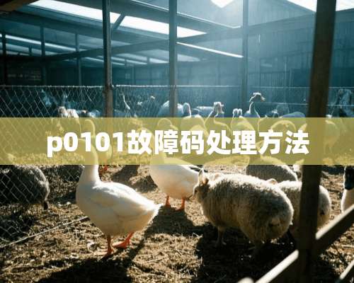 p0101故障码处理方法