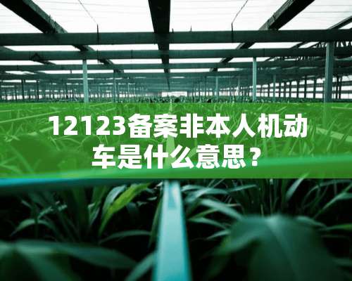 12123备案非本人机动车是什么意思？