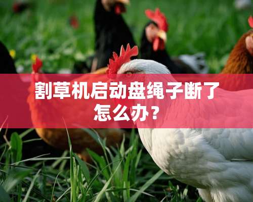 割草机启动盘绳子断了怎么办？