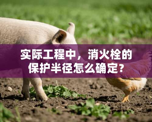 实际工程中，消火栓的保护半径怎么确定？