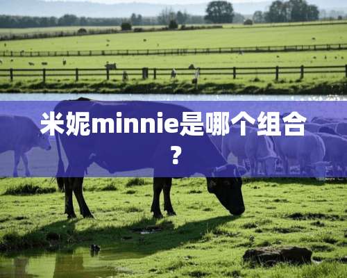 米妮minnie是哪个组合？