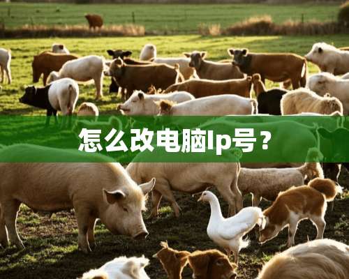 怎么改电脑Ip号？