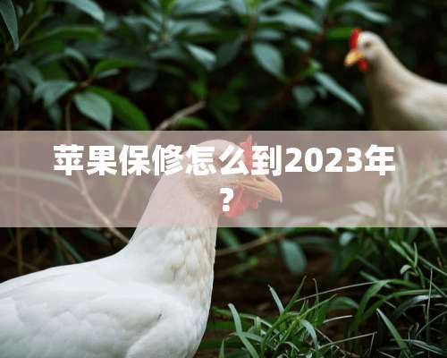 苹果保修怎么到2023年？