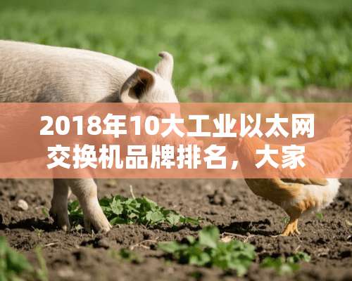 2018年10大工业以太网交换机品牌排名，大家列一下