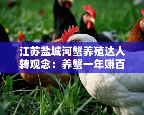 江苏盐城河蟹养殖达人转观念：养蟹一年赚百万