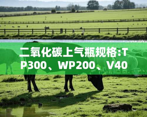 二**碳上气瓶规格:TP300、WP200、V40.4、各是代表的什么意思