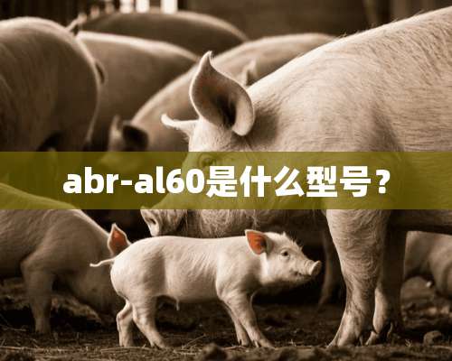 abr-al60是什么型号？