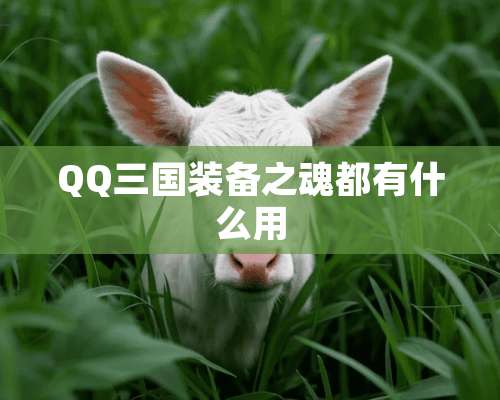 QQ三国装备之魂都有什么用