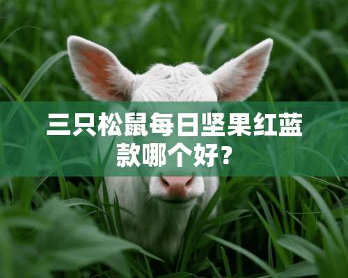 三只松鼠每日坚果红蓝款哪个好？