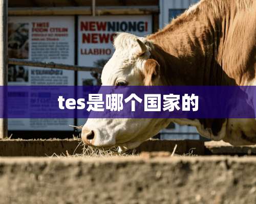 tes是哪个国家的