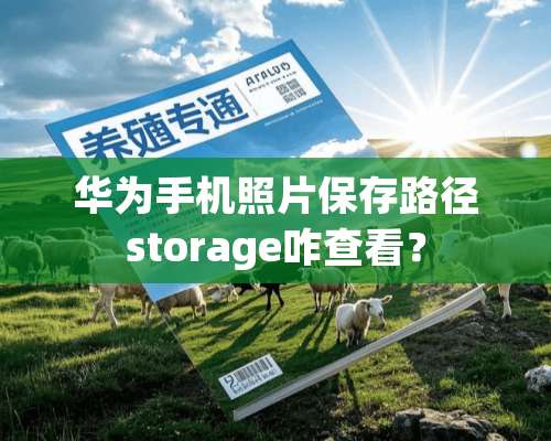 华为手机照片保存路径storage咋查看？