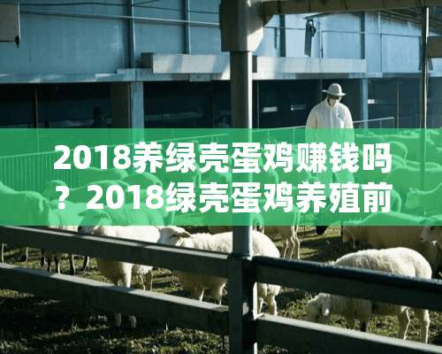 2018养绿壳蛋鸡赚钱吗？2018绿壳蛋鸡养殖前景预测