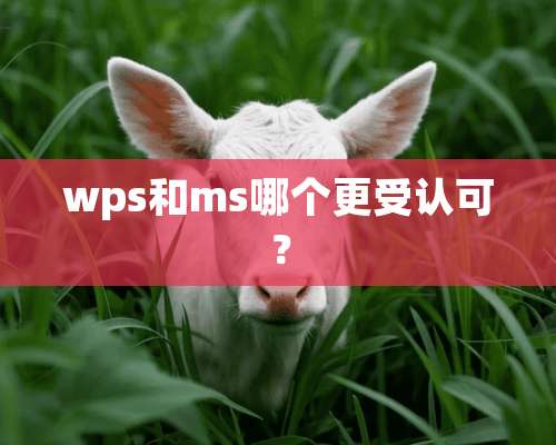 wps和ms哪个更受认可？