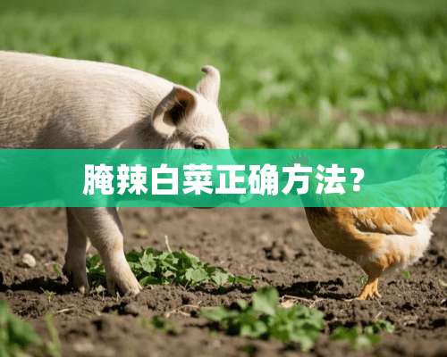 腌辣白菜正确方法？