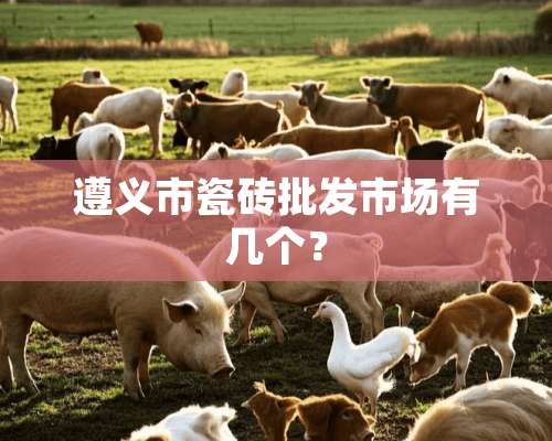 遵义市瓷砖批发市场有几个？