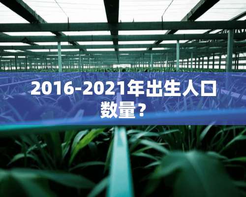 2016-2021年出生人口数量？