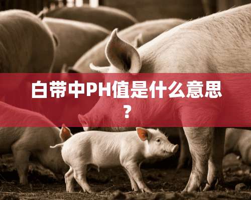 白带中PH值是什么意思？