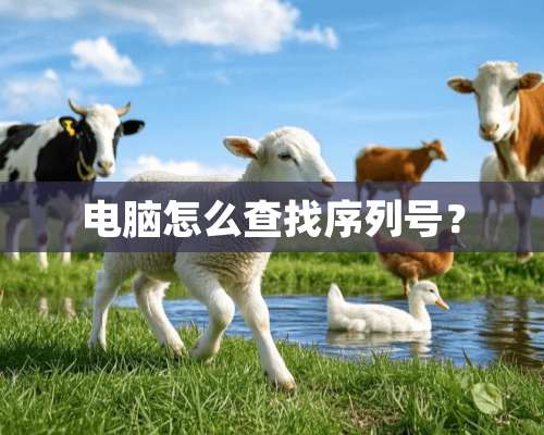 电脑怎么查找序列号？