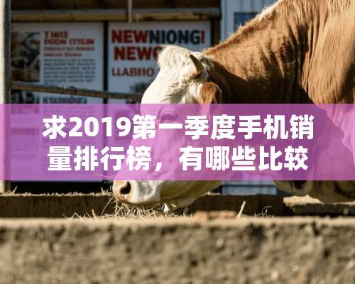 求2019第一季度手机销量排行榜，有哪些比较推荐？